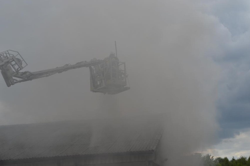 Pożar w Szamocinie. Płonęła ferma drobiu