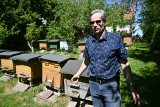 Sąsiedzki konflikt o pszczoły! Sprawa w sądzie i nakaz usunięcia pasieki [FILM, FOTO]
