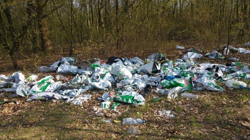 Mapa dzikich wysypisk śmieci odnosi sukces! W marcu...