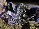 Wypadek śmiertelny na trasie Sokółka - Malawicze. Audi uderzyło w drzewo. Kierowca zginął na miejscu
