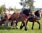 Dziś w Pustkowie finał "Eko-Gmina Dębica 2009" 