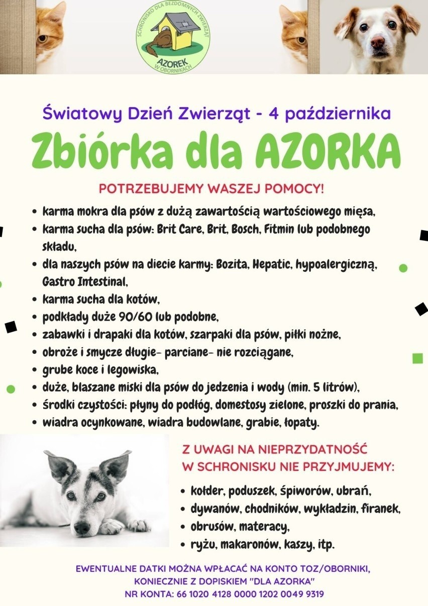 Trwa zbiórka dla schroniska dla zwierząt "Azorek" w Obornikach