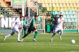 2 liga. ZAPIS RELACJI LIVE. Stal Stalowa Wola przegrała mecz ze Skrą Częstochowa