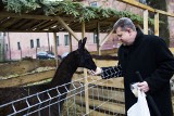 Żywa szopka przy opactwie Benedyktynek w Staniątkach [ZDJĘCIA]