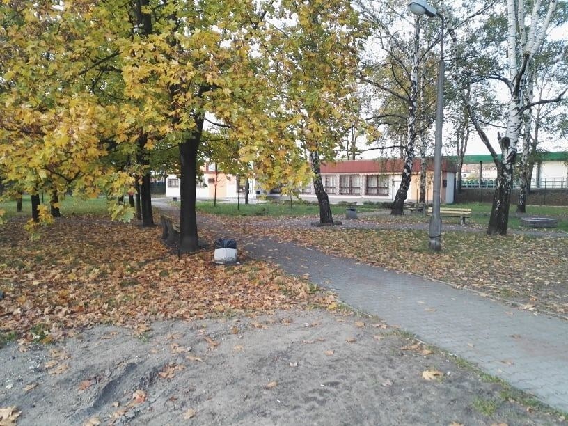 Tak wygląda skwerek przy ul. Piłsudskiego w Sosnowcu, który...