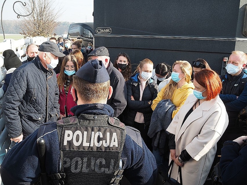 Na licytację komorniczą koni przyjechali kupcy z całej...