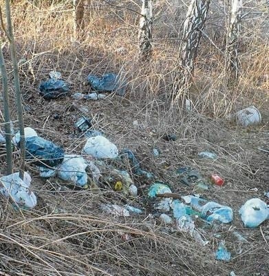 Nowe przepisy mają doprowadzić do likwidacji dzikich wysypisk śmieci Fot. Jolanta Białek