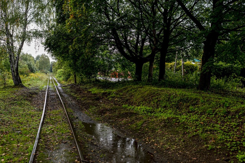 Kolejny odcinek kolei wąskotorowej w Bytomiu-Suchej Górze przejdzie modernizację