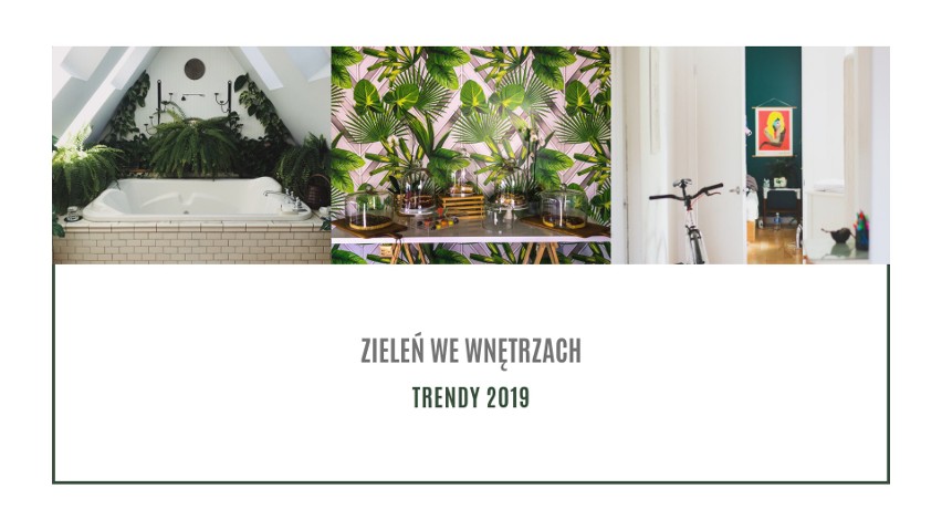 Jak pięknie urządzić mieszkanie? Trendy 2019. We wnętrzach króluje ciemna zieleń. Jak zmienić mieszkanie na wiosnę? TRENDY z zielenią w domu