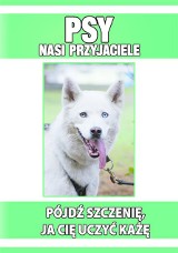 Dziś z Nowinami specjalny dodatek - Wszystko o psach!