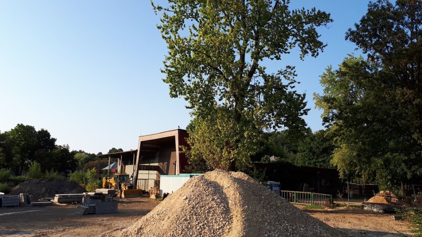 Trwa budowa obiektu dla pingwinów Humboldta w śląskim zoo.