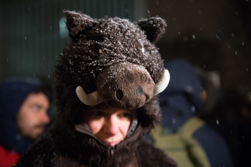 Protest przeciw odstrzałowi dzików pod Sejmem (9/01/2019)