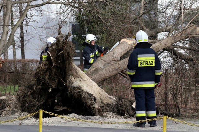 W czwartek w Polskę uderzył niż Dudley, przynosząc bardzo wiele szkód. Na tym jednak nie koniec, bo w nocy z piątku na sobotę nad Polską znajdzie się kolejny front - niż Eunice, któremu także będą towarzyszyć bardzo silne podmuchy wiatru i lokalne burze.