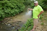 Maszkienice. Setki martwych ryb w potoku Niedźwiedź. Ktoś zatruł wodę?