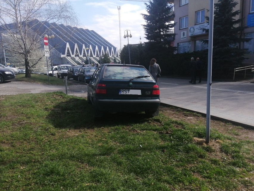 Trawnik obok parkingu przy ulicy Lenartowicza. Czy to...