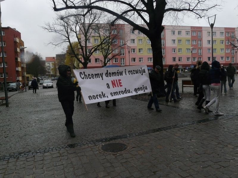 Protest w Stargardzie przeciwko fermie norek