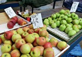 Cena jabłek powinna wynosić ok. 4 zł/kg w sezonie 2021/2022, proponują sadownicy i protestują w Warszawie