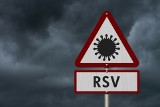 Wirus RVS. Nie tak znany jak Covid-19, ale powoduje 33 tys. zgonów rocznie w skali globalnej. Kto powinien się go obawiać?