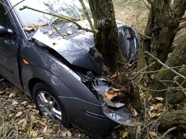 Ford focus wjechał w przydrożne drzewo.