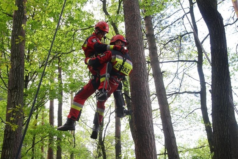 Ewakuacja spadochroniarza, który zawisł na drzewie  była...