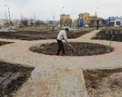 W tym kręgu zostaną posadzone rośliny jednoroczne