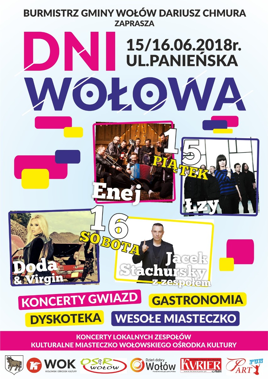 Dolny Śląsk z Wrocławską - przystanek Wołów [FILMY]