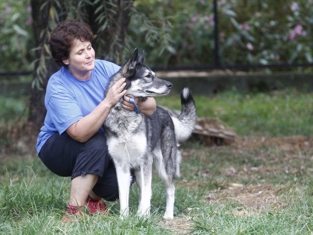 - Kati jest u nas od kilku dni &#8211; mówi pani Beata ze schroniska "Kundelek&#8221; w Rzeszowie. - Szukamy dla niej nowego domu