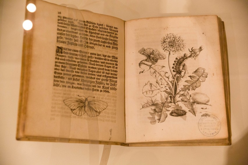 Unikatowe atlasy zwierząt i roślin z XVIII wieku można podziwiać w Międzynarodowym Centrum Kultury w Krakowie