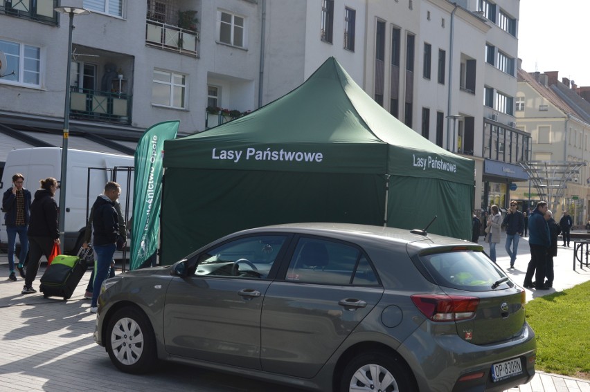 Sadzonki rozdawane będą też w czwartek i piątek na ul....