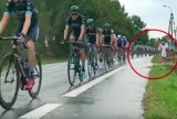 Wypadek na Tour de Pologne: Zginął Bjorg Lambrecht. Wyniki sekcji zwłok. Według prokuratury przyczyna śmierci kolarza to krwotok