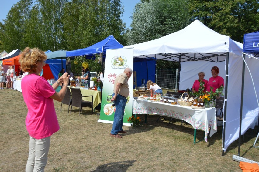 Świętokrzyskie Święto Pszczoły w Bałtowie. Strefa wystawiennicza ściąga turystów. Zobacz zdjęcia 