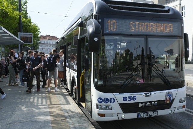 Od 1 września autobusy linii nr 10 i 20 mają kursować między Podgórzem i Glinkami a centrum Torunia. Przesiadki z nich i do nich, na przykład pasażerów jadący z i na północ miasta, będą możliwe w węźle w alei Solidarności