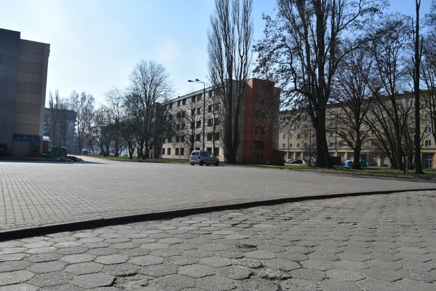 Pomimo zawieszenia  działalności wszystkich uczelni wyższych...