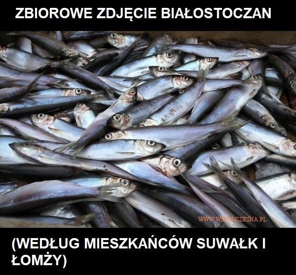 Sylwester na Podlasiu do gratka nawet dla gwiazd światowej...