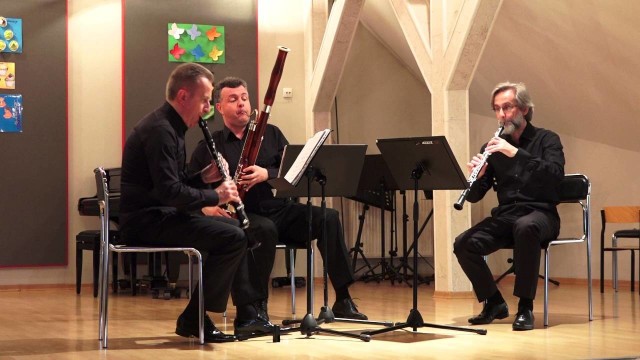 Krakowskie Trio Stroikowe wspólnie z organistą Andrzejem Budzińskim wystąpi 9 sierpnia