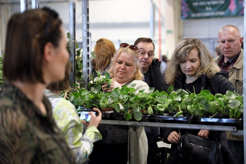 Kwiatki, bratki i stokrotki w Targach Lublin. Za nami wiosenna edycja Festiwalu Roślin [ZDJĘCIA]