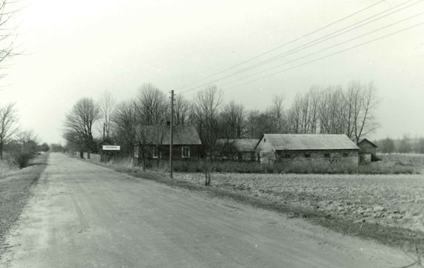 Tak wyglądała kiedyś wieś Owczarnia. Na początku folwark nie miał swojej nazwy. Zobacz archiwalne zdjęcia