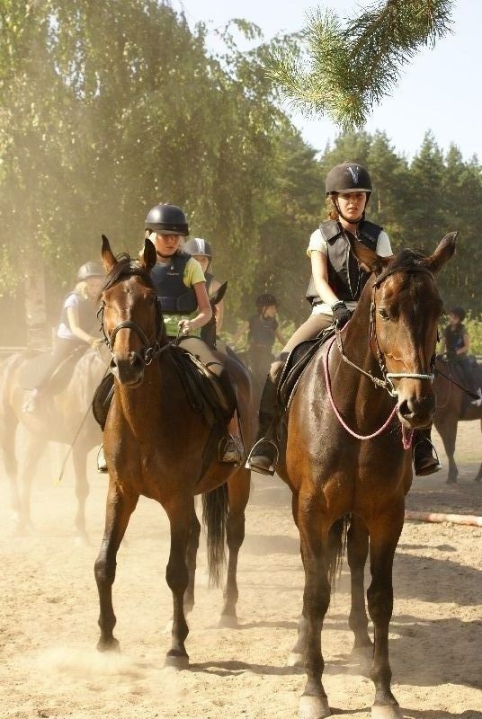 Święto Konia w Siedlcu Trzebnickim - pokazy przejażdżki, inscenizacje