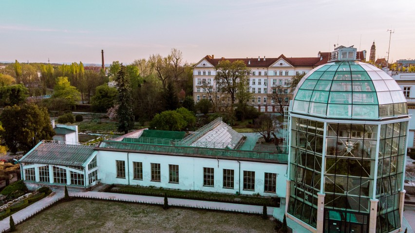 Ogród Botaniczny UJ. Nowe atrakcje dla zwiedzających. Szykuje się dużo zmian