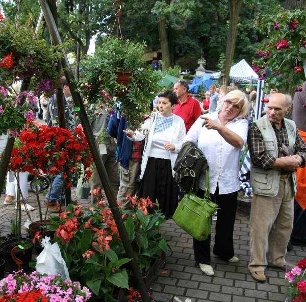 W ciągu trzech dni będzie można obejrzeć tysiące kwiatów ciętych i doniczkowych.