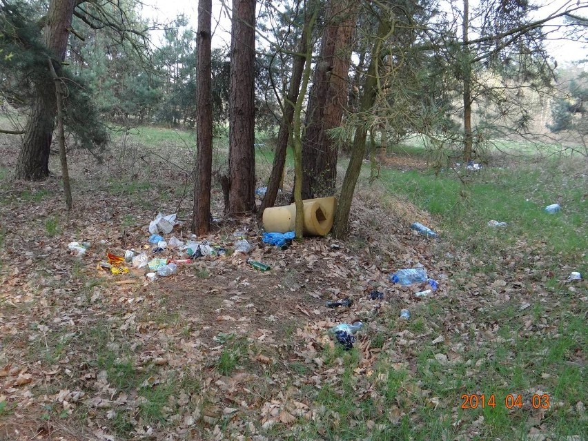 Zdjęcia wykonano w lesie, przylegającym do terenu Przystanku...