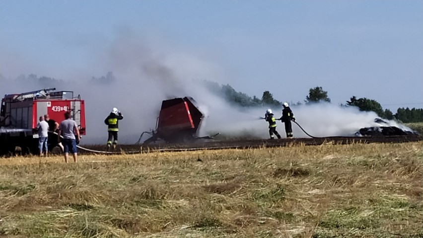 Sucho na polach, łąkach i w lasach. Efektem pożary, tak jak w Łazowie [ZDJĘCIA]