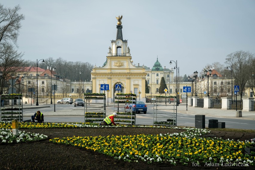 Sadzenie wiosennych kwiatów ma trwać do 27 marca.