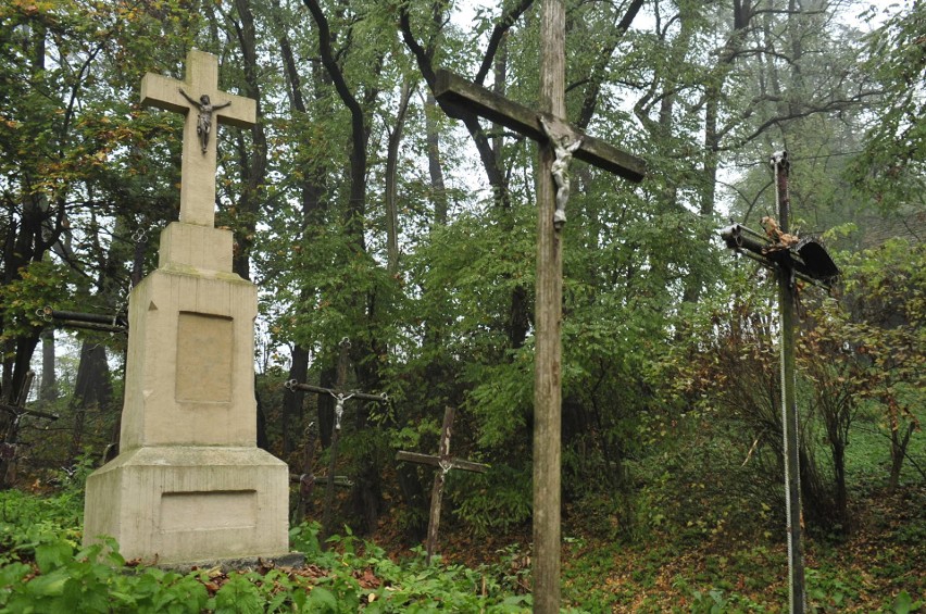 Kraków. Zapomniany, niesamowity cmentarz. Tu rośnie las krzyży niechcianych [ZDJĘCIA]