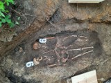 Niezwykłe odkrycie na cmentarzu w Pruszczu Gdańskim! Szkielety wojenne na dawnym cmentarzu