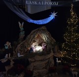 Ostrów Mazowiecka. Szopki bożonarodzeniowe w ostrowskich kościołach. Zdjęcia. 24.12.2021