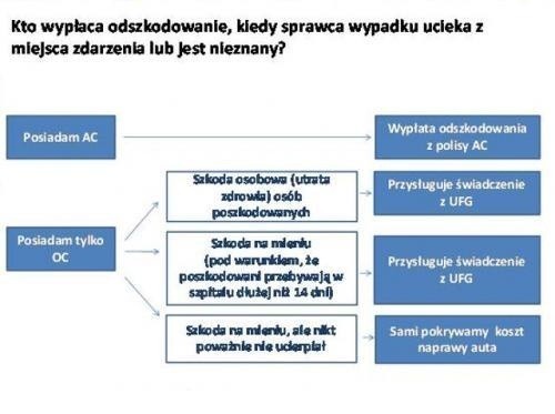 Fot. Rankomat.pl