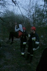 Wrocław: Strażacy ściągali z drzewa 17-latkę. Nie wie, po co tam weszła (ZDJĘCIA)