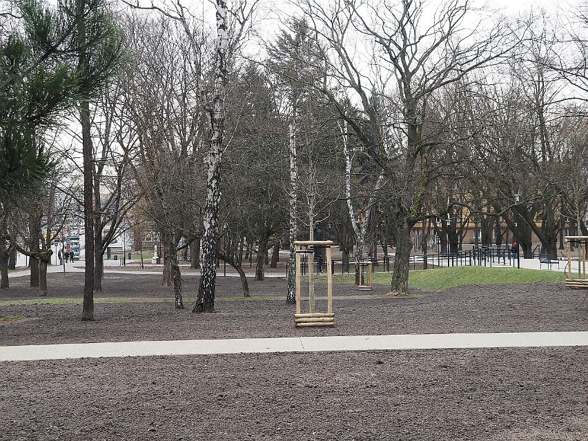 W wyniku rewitalizacji w parku Staromiejskim w centrum Łodzi...