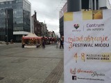 Miodobranie w Katowicach: na rynku trwa Festiwal Miodu ZDJĘCIA